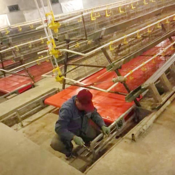 PVC帶蛋雞清糞機(jī)